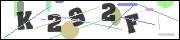Spam bot protection (CAPTCHA)