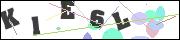 Spam bot protection (CAPTCHA)