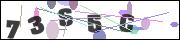 Spam bot protection (CAPTCHA)