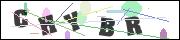 Spam bot protection (CAPTCHA)