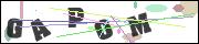 Spam bot protection (CAPTCHA)