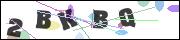 Spam bot protection (CAPTCHA)