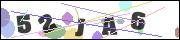 Spam bot protection (CAPTCHA)
