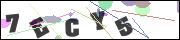 Spam bot protection (CAPTCHA)