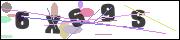 Spam bot protection (CAPTCHA)