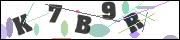 Spam bot protection (CAPTCHA)