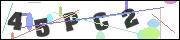 Spam bot protection (CAPTCHA)