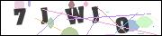 Spam bot protection (CAPTCHA)