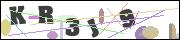 Spam bot protection (CAPTCHA)