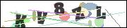 Spam bot protection (CAPTCHA)