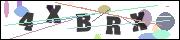 Spam bot protection (CAPTCHA)
