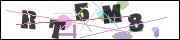 Spam bot protection (CAPTCHA)