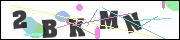 Spam bot protection (CAPTCHA)