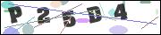 Spam bot protection (CAPTCHA)