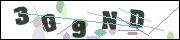 Spam bot protection (CAPTCHA)